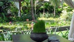 009-anantara-bophut-samui-garden-sala-2.jpg