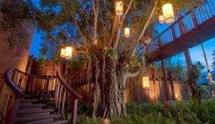 THE-TREE-HOUSE.jpg