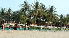 010-banana-fan-sea-samui-beach.jpg