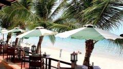 014-banana-fan-sea-samui-beachfront-restaurant.jpg