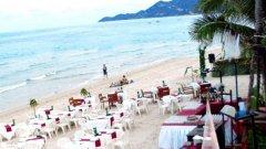 Banana-Fan-Sea-020.jpg