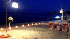 Banana-Fan-Sea-026.jpg