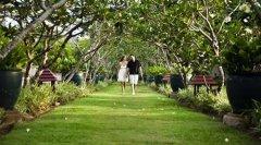 Banyan-Tree-Phuket-Fac-Frangipani-Walk.jpg