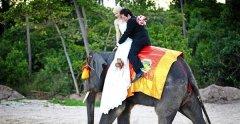 021-bhundhari-samui-weddings.jpg