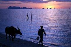 Mimosa-Resort-Samui-032.jpg