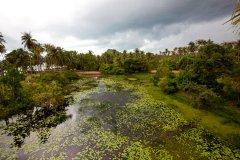 Mimosa-Resort-Samui-033.jpg