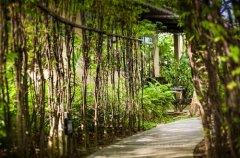 003-Peace-Resort-Samui.jpg