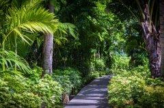 004-Peace-Resort-Samui.jpg