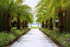 Phuket-Marriott-Nai-Yang-015.jpg