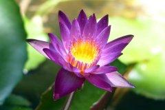 Phuket-Panwa-Beachfront-Resort-013.jpg
